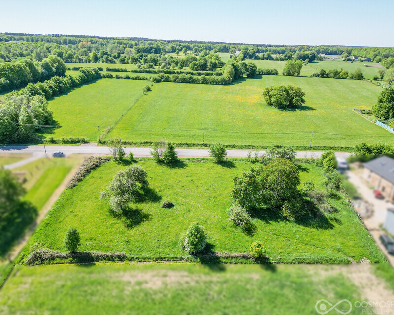 Taillette (Fr)/4' Belgique - Beau terrain à bâtir de 33 ares - Dji 0482-2-taillette