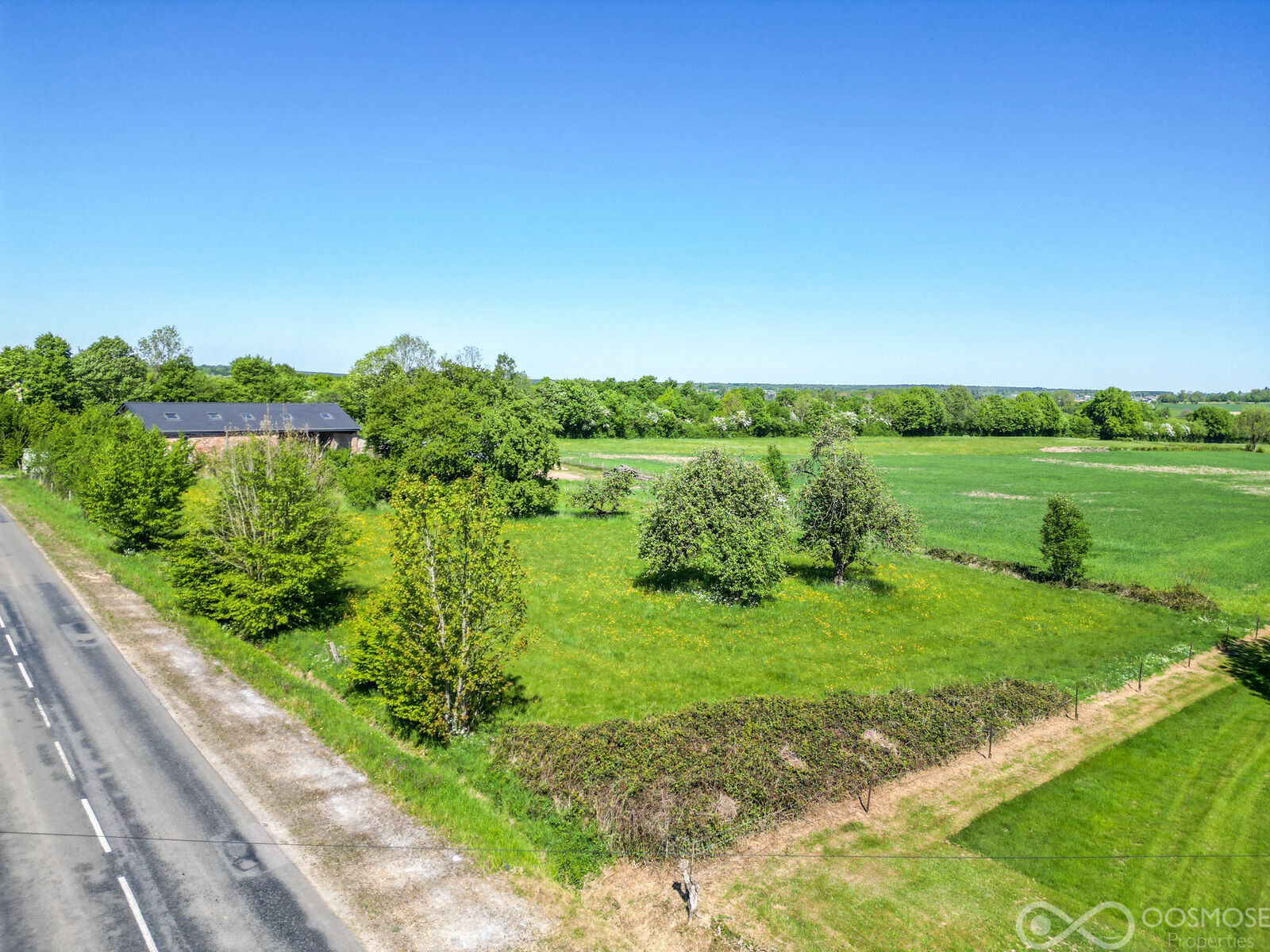 Taillette (Fr)/4' Belgique - Beau terrain à bâtir de 33 ares - Dji 0478-2