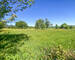 Taillette (Fr)/4' Belgique - Beau terrain à bâtir de 33 ares - Img 4862-2