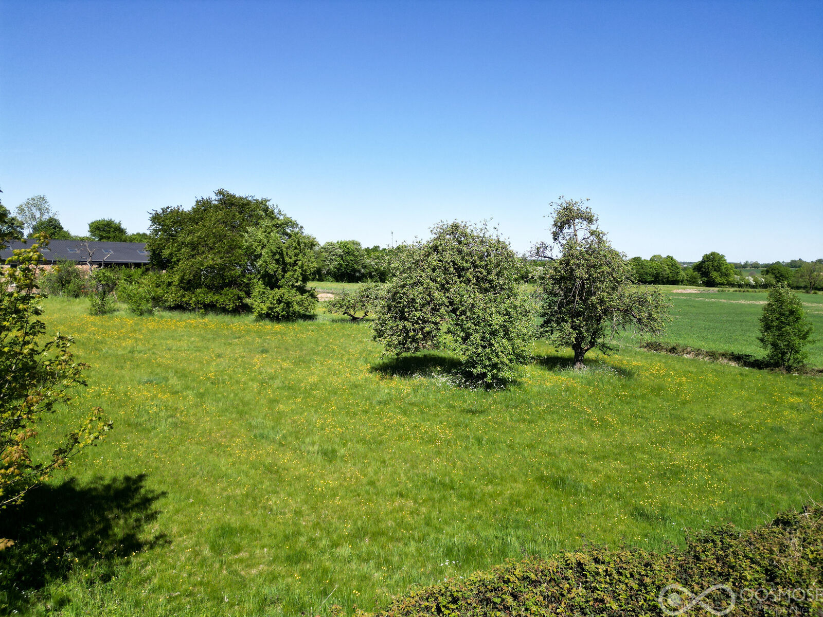 Taillette (Fr)/4' Belgique - Beau terrain à bâtir de 33 ares - Dji 0487-2