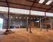 Bâtiment agricole de 1200 m² - 20250417 162247