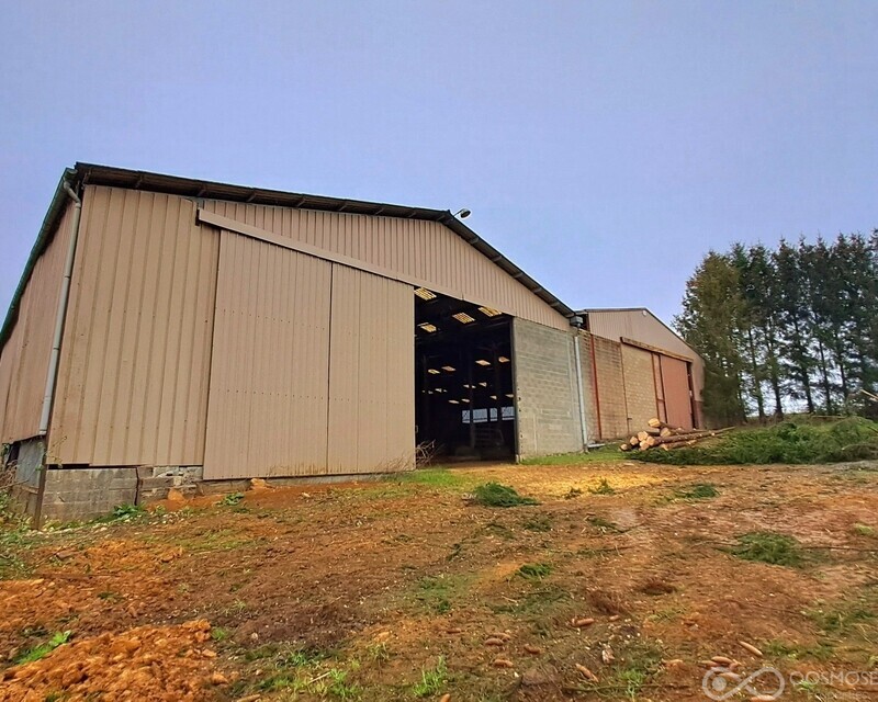 Bâtiment agricole de 1200 m² - 20250417 162345