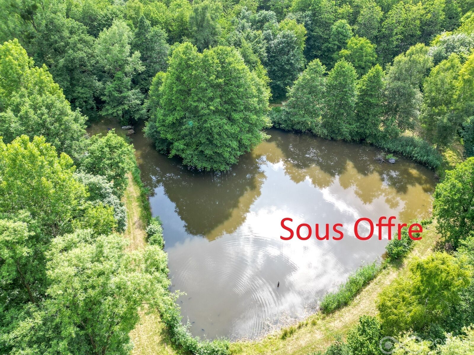Étang de 2.600 m² sur terrain boisé de 23.000 m² - Offre