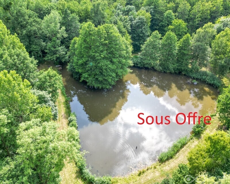 Étang de 2.600 m² sur terrain boisé de 23.000 m² - Offre