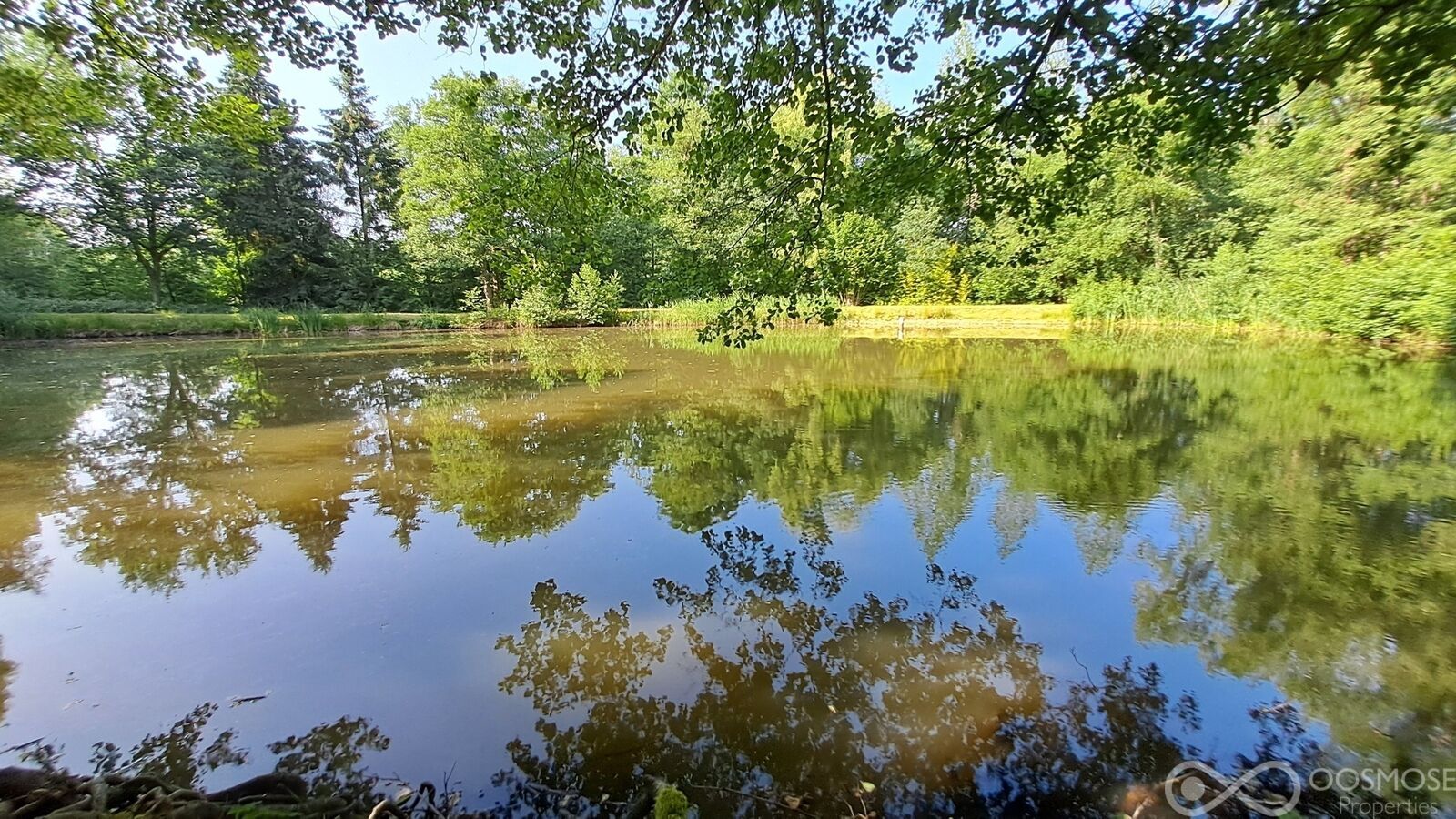 Étang de 2.600 m² sur terrain boisé de 23.000 m² - 20250612 180835