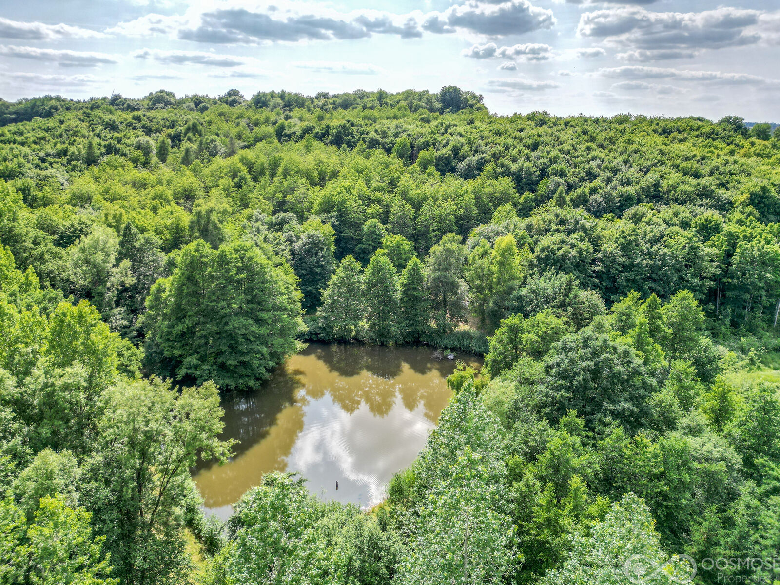 Étang de 2.600 m² sur terrain boisé de 23.000 m² - Dji 0508-2