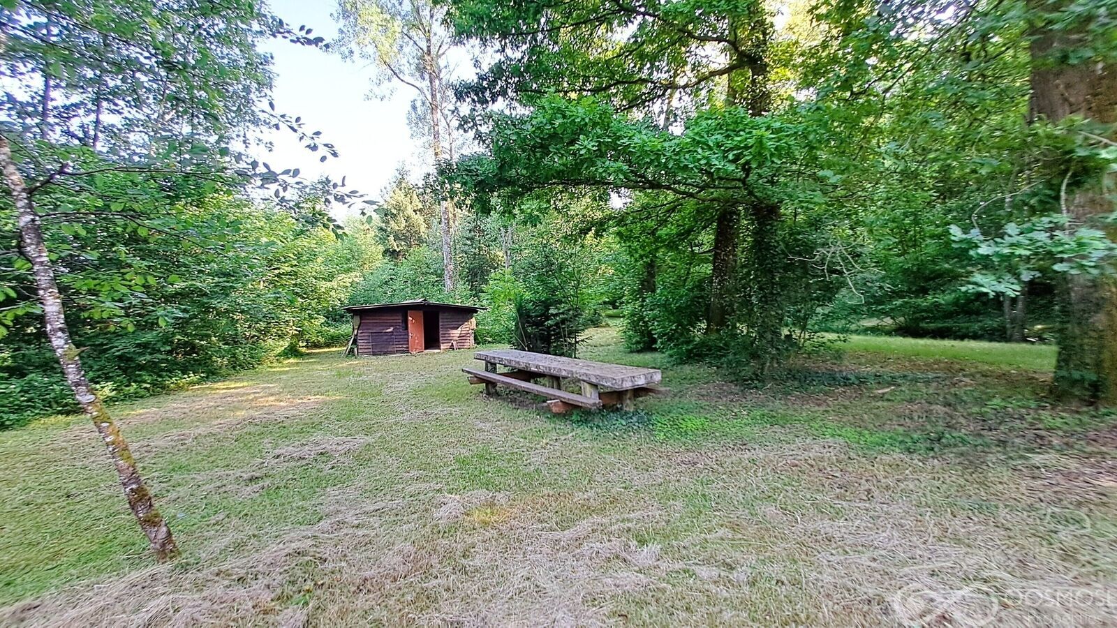 Étang de 2.600 m² sur terrain boisé de 23.000 m² - 1