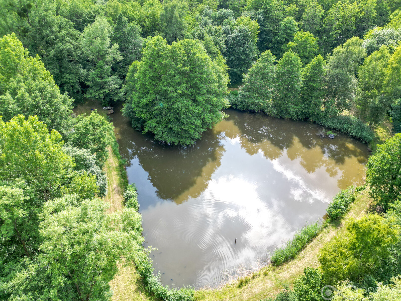 Étang de 3.000 m² sur terrain boisé de 25.000 m² - Dji 0507-2