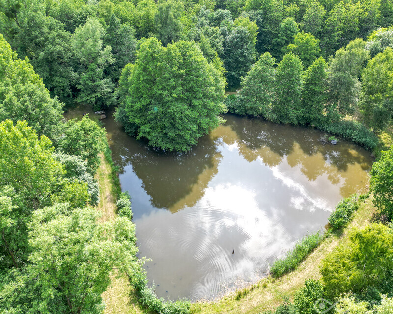 Étang de 3.000 m² sur terrain boisé de 25.000 m² - Dji 0507-2