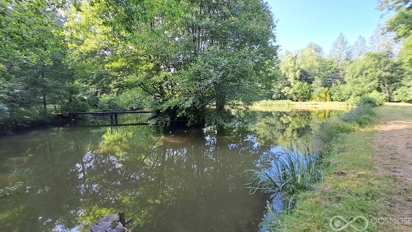 Étang de 2.600 m² sur terrain boisé de 23.000 m² - 20250612 180502