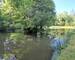 Étang de 2.600 m² sur terrain boisé de 23.000 m² - 20250612 180502