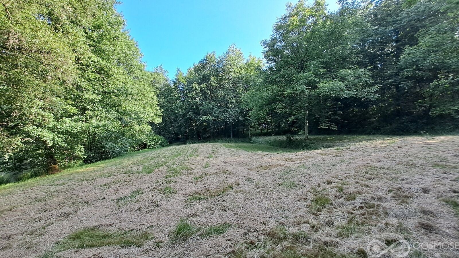 Étang de 2.600 m² sur terrain boisé de 23.000 m² - 20250612 175516