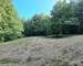 Étang de 2.600 m² sur terrain boisé de 23.000 m² - 20250612 175516