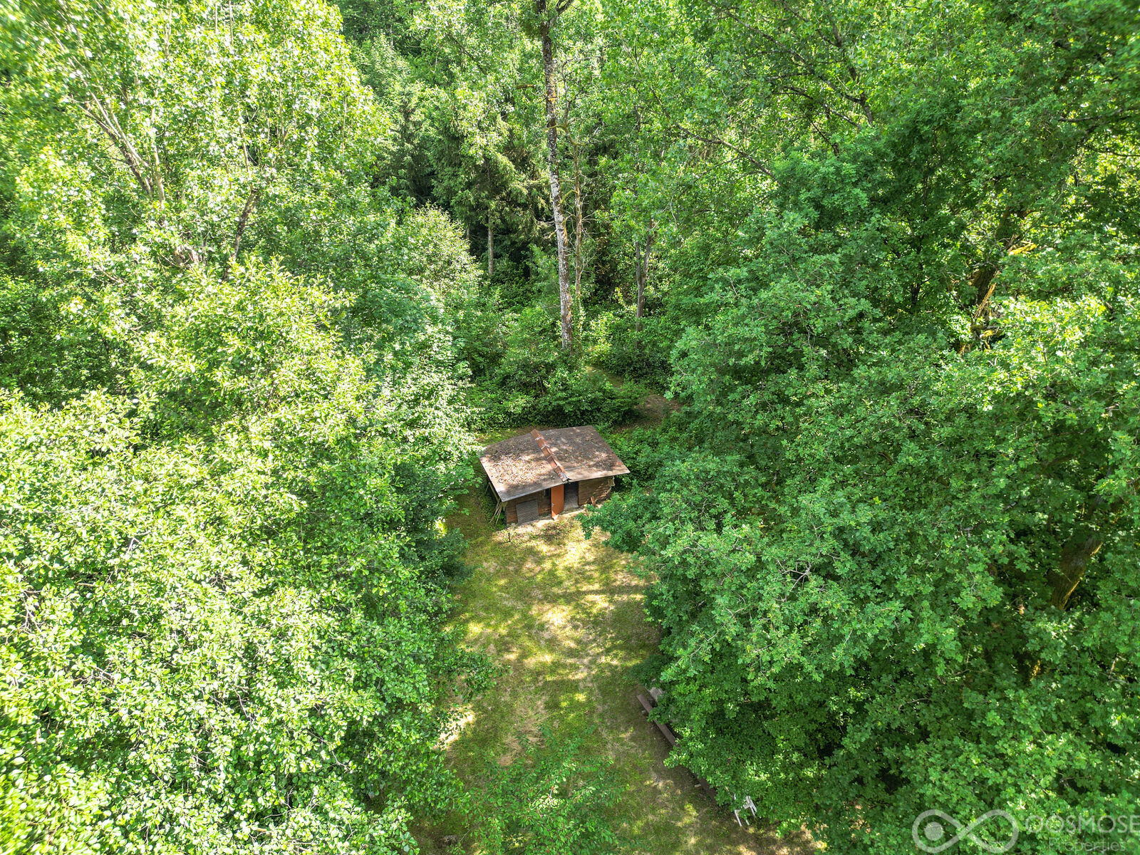 Étang de 2.600 m² sur terrain boisé de 23.000 m² - Dji 0512-2