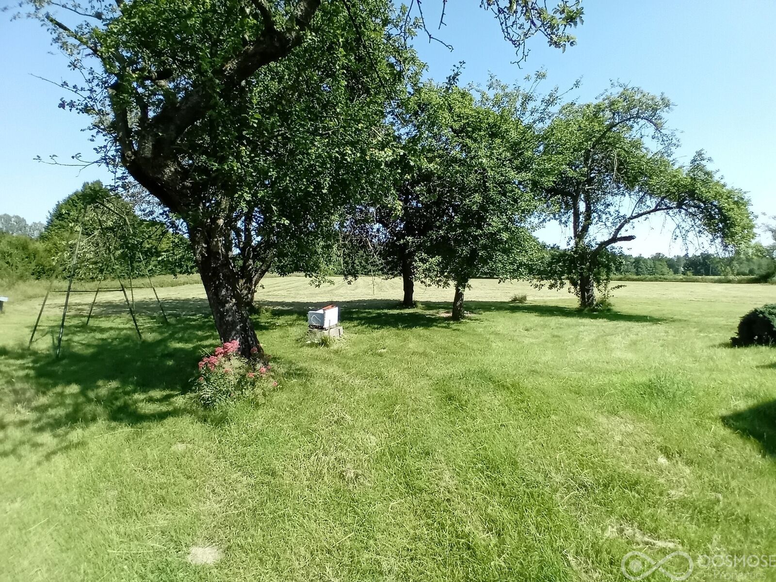 Maison de village avec 2ha de terrain à vendre à Gué d'Hossus - 20250621 162531