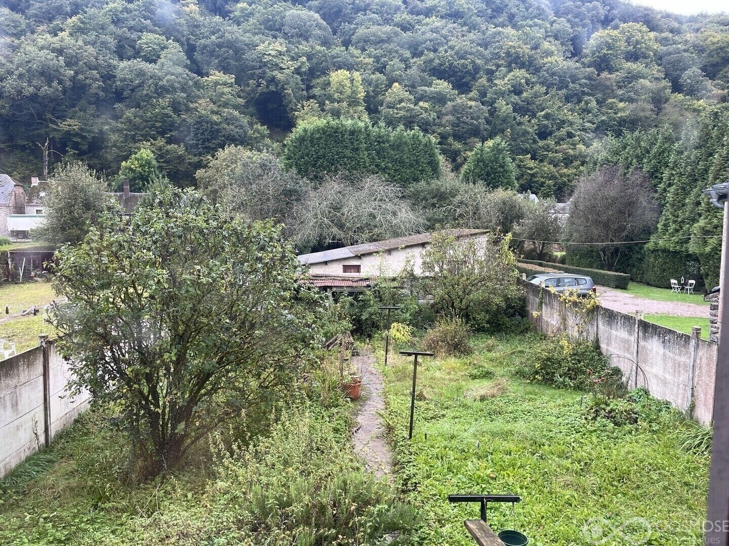 Charmante maison à rénover au bord de la Meuse  - Jardin