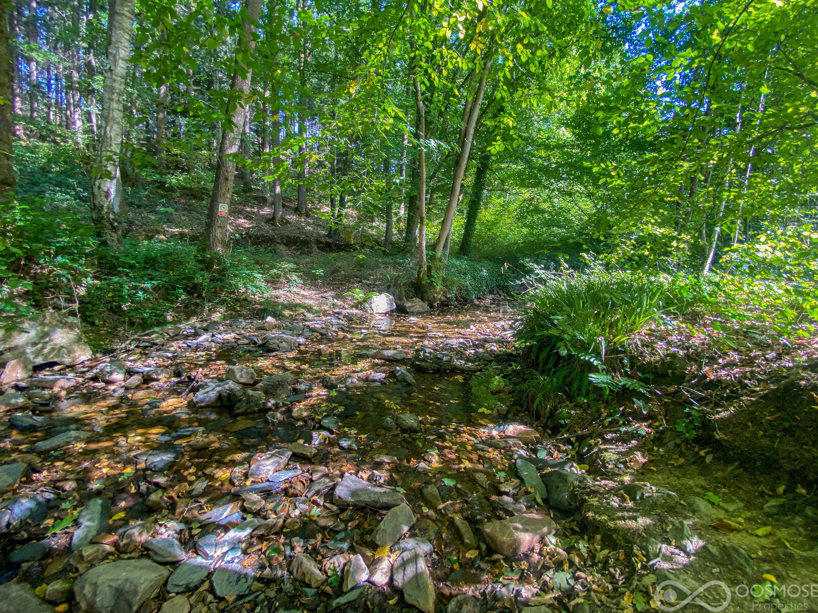 Propriété exceptionnelle dans la forêt des Ardennes Françaises - Final-29