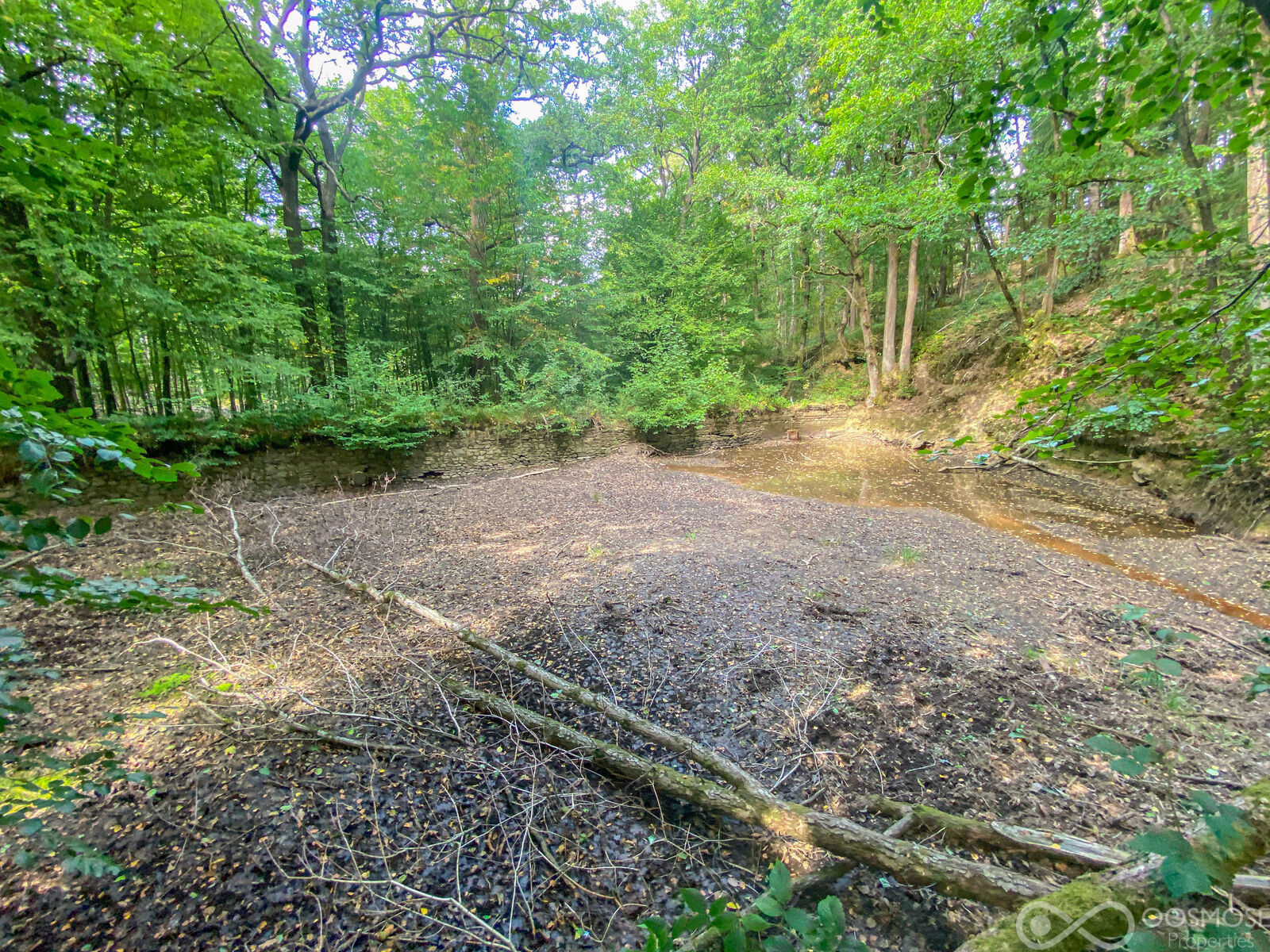 Propriété exceptionnelle dans la forêt des Ardennes Françaises - Final-28