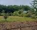 Belle propriété avec terrain constructible de 850 m2 - Foto compero bogny sur meuse
