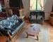 Charmante maison de campagne  - 20250628 160518