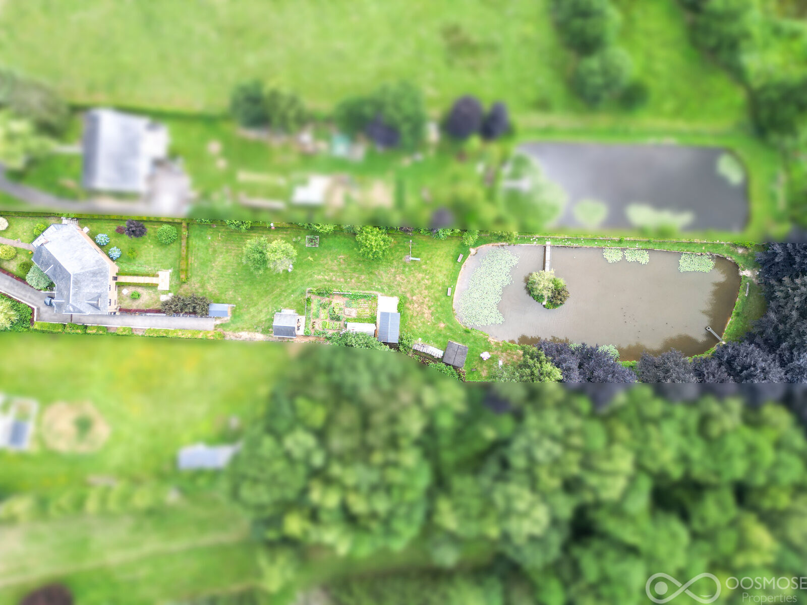 Villa 3 ch. sur 42 ares avec étang - Dji 0530-2 flou