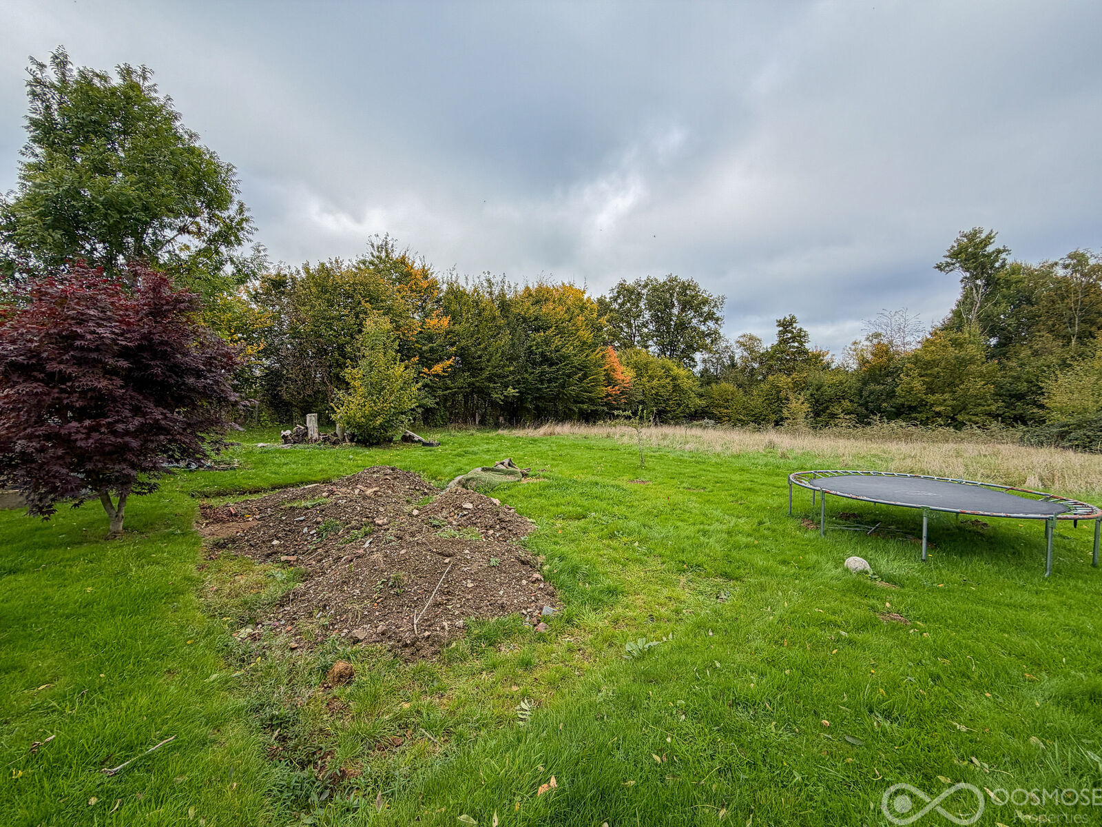 Bungalow plain pied 2ch sur 18 ares - Final-66