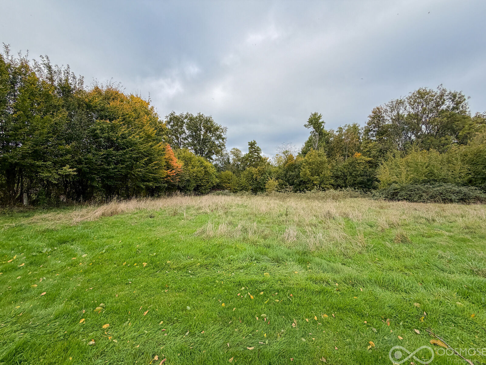 Bungalow plain pied 2ch sur 18 ares - Final-65
