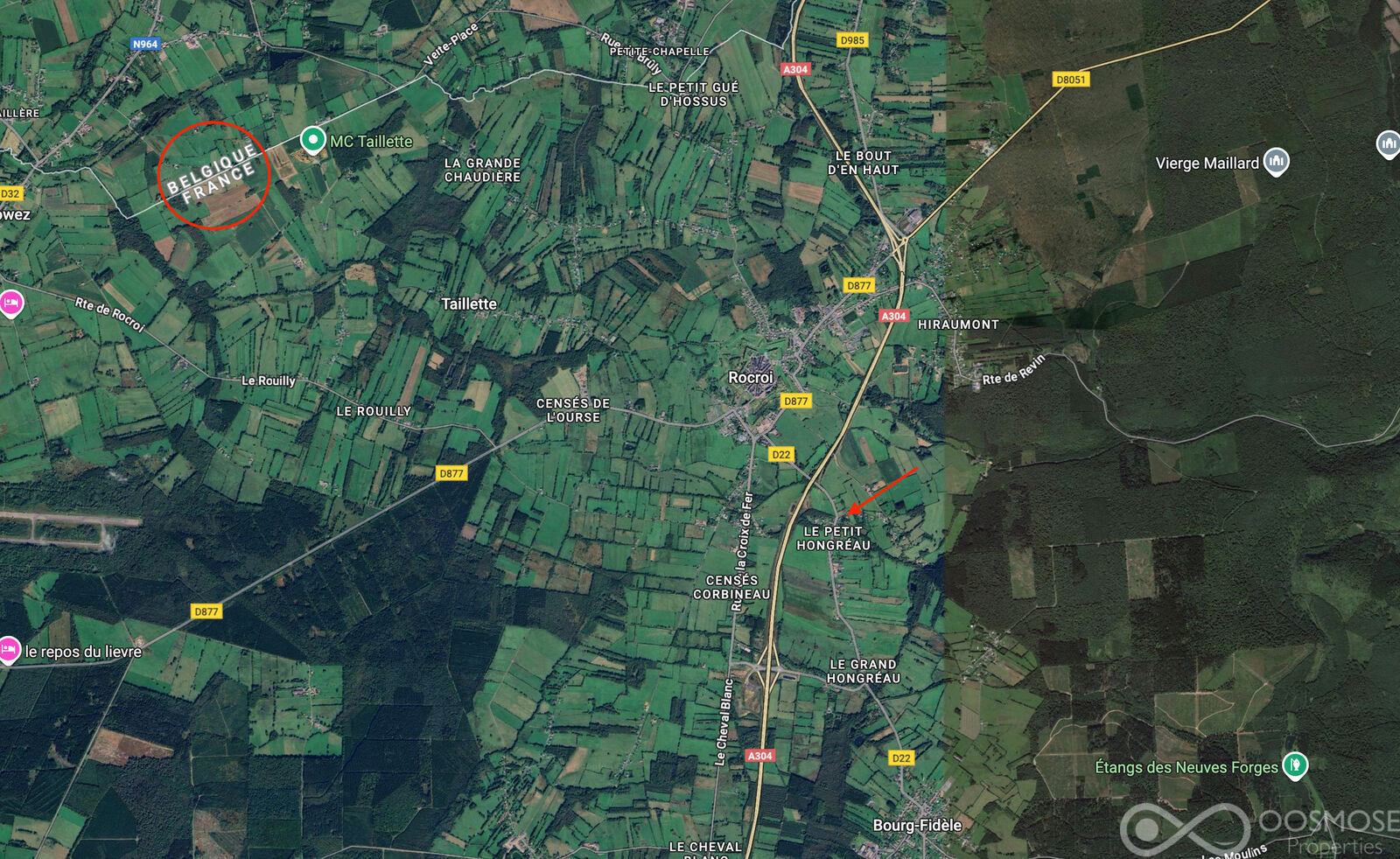 France/5' Belg. - Charmante et spacieuse maison 4-5ch sur 16 ares - Sat - le grand hongréaux 1707 - rocroi