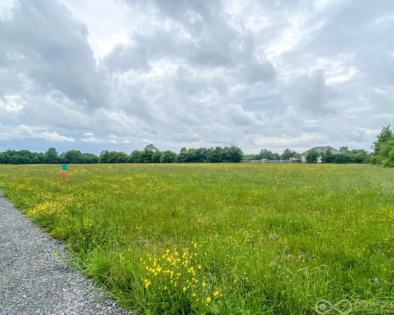 Rocroi 10' Belgique - Beau terrain à bâtir de 13 ares - 953dfd90-e545-4bfe-a0a6-6fc89f6a2f08