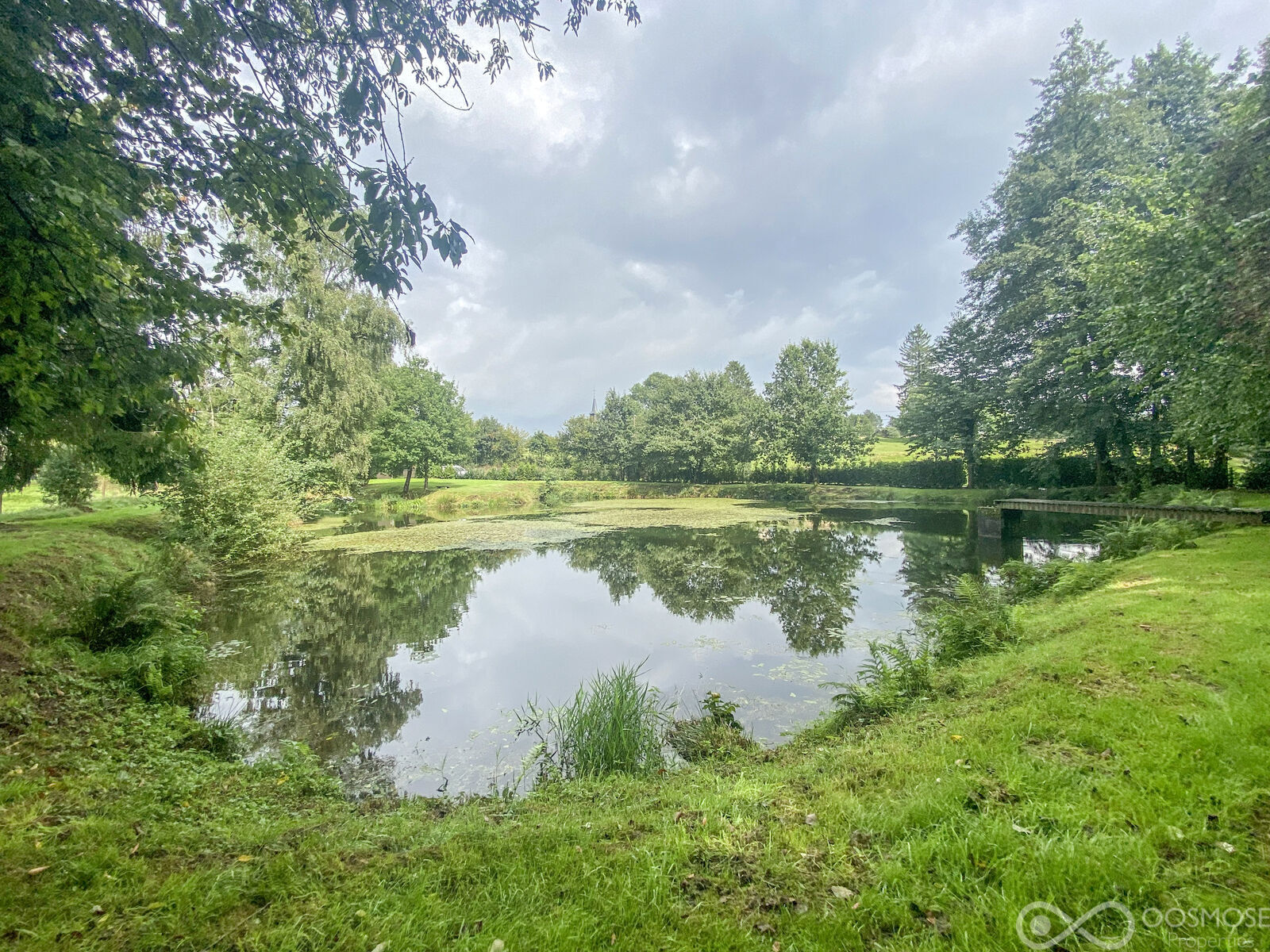 Brognon (FR) - Etang sur terrain de 29a 20ca - Img 9617-2