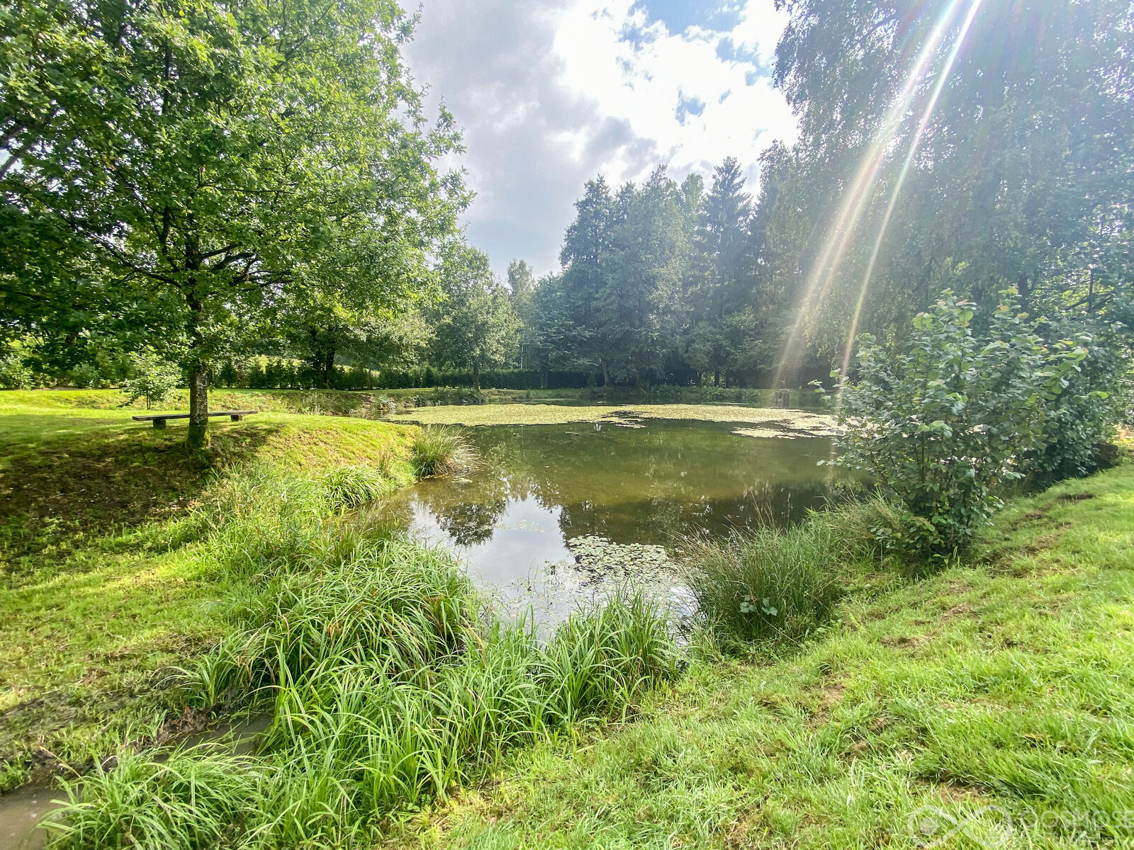 Brognon (FR) - Etang sur terrain de 29a 20ca - Img 9613-2