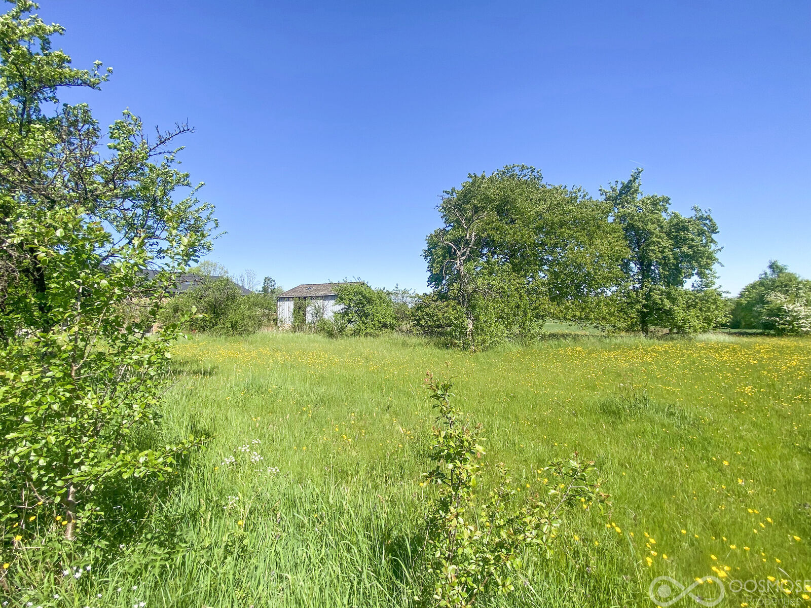 Taillette (Fr)/4' Belgique - Beau terrain à bâtir de 33 ares - 94758f5c-06cf-442d-9a06-8ae2ede4a4ba