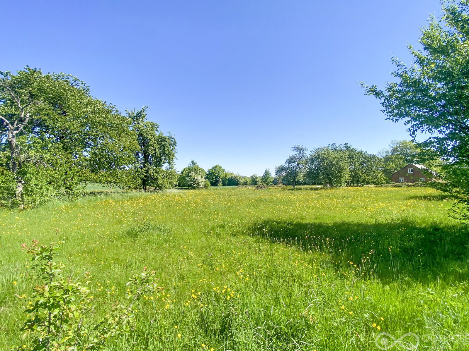 Taillette (Fr)/4' Belgique - Beau terrain à bâtir de 33 ares - 7d768ff9-8d4a-471f-9295-58119d7c54fe