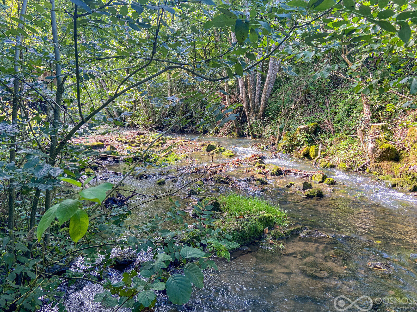 Ardennes Françaises - Ancien Moulin sur 1,5 ha av salle de mariage  - Final-27