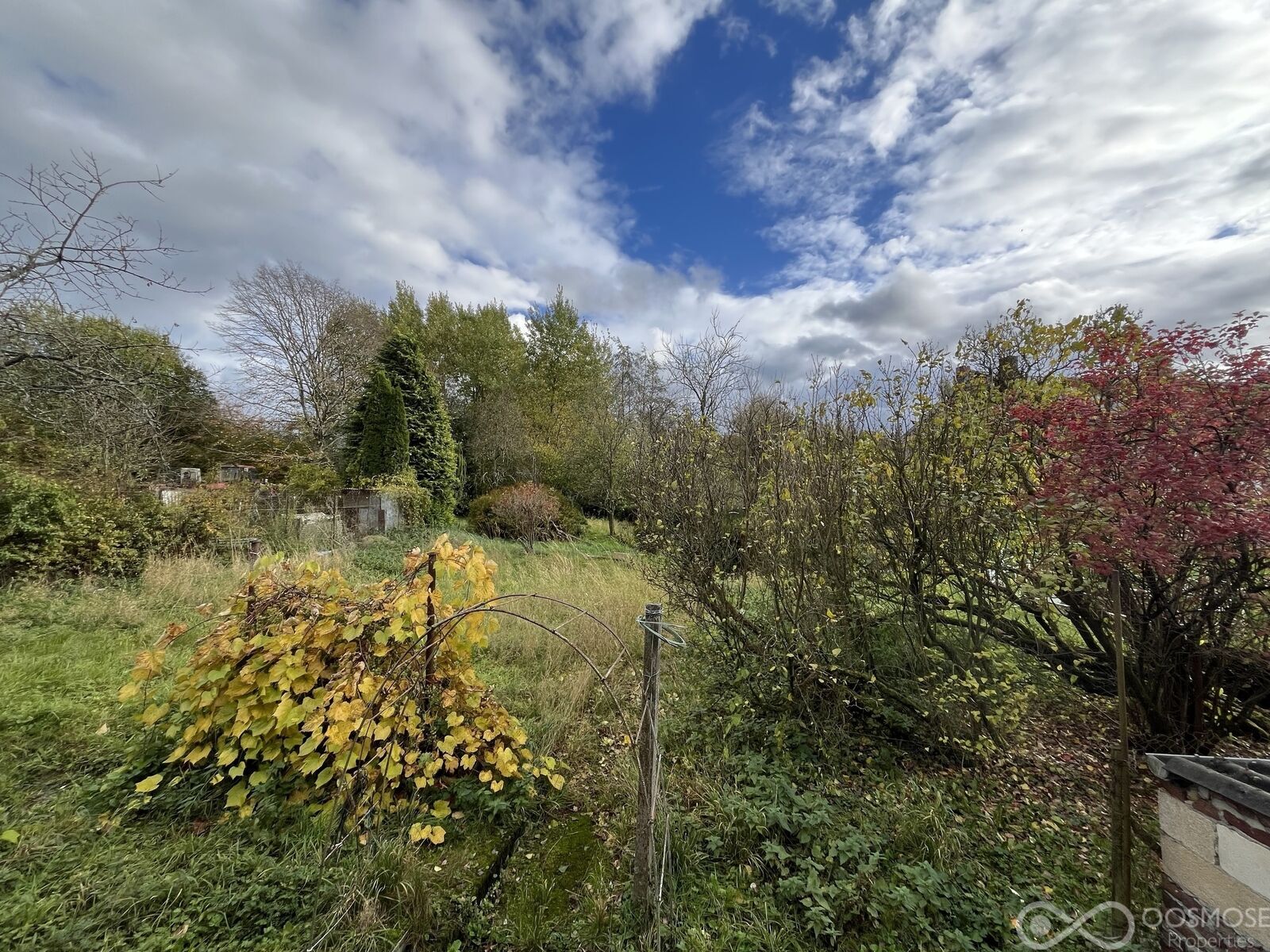 Maison à rénover avec grand jardin - Img 2739