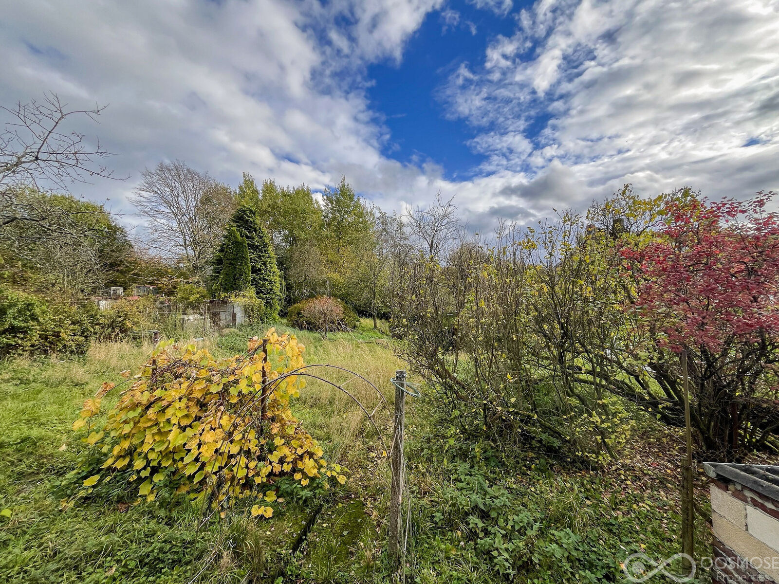 Maison à rénover avec grand jardin - Final-48