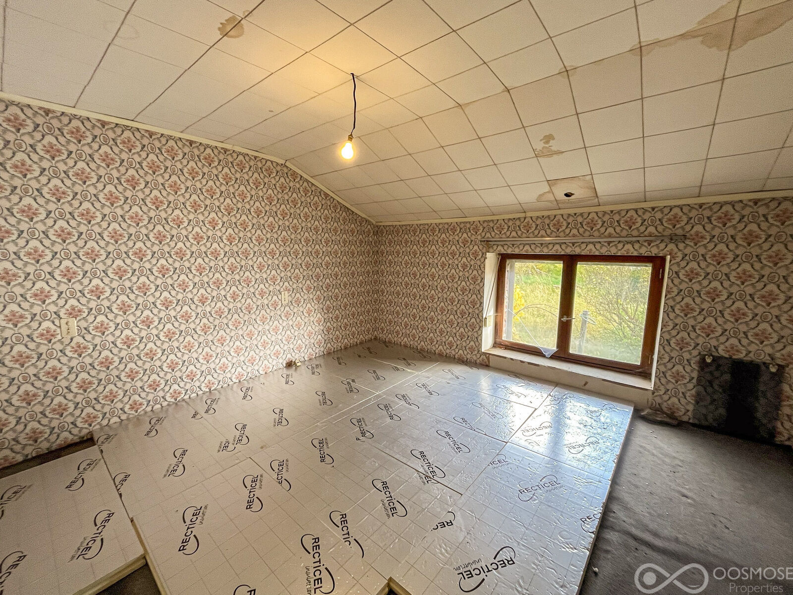 Maison à rénover avec grand jardin - Final-52