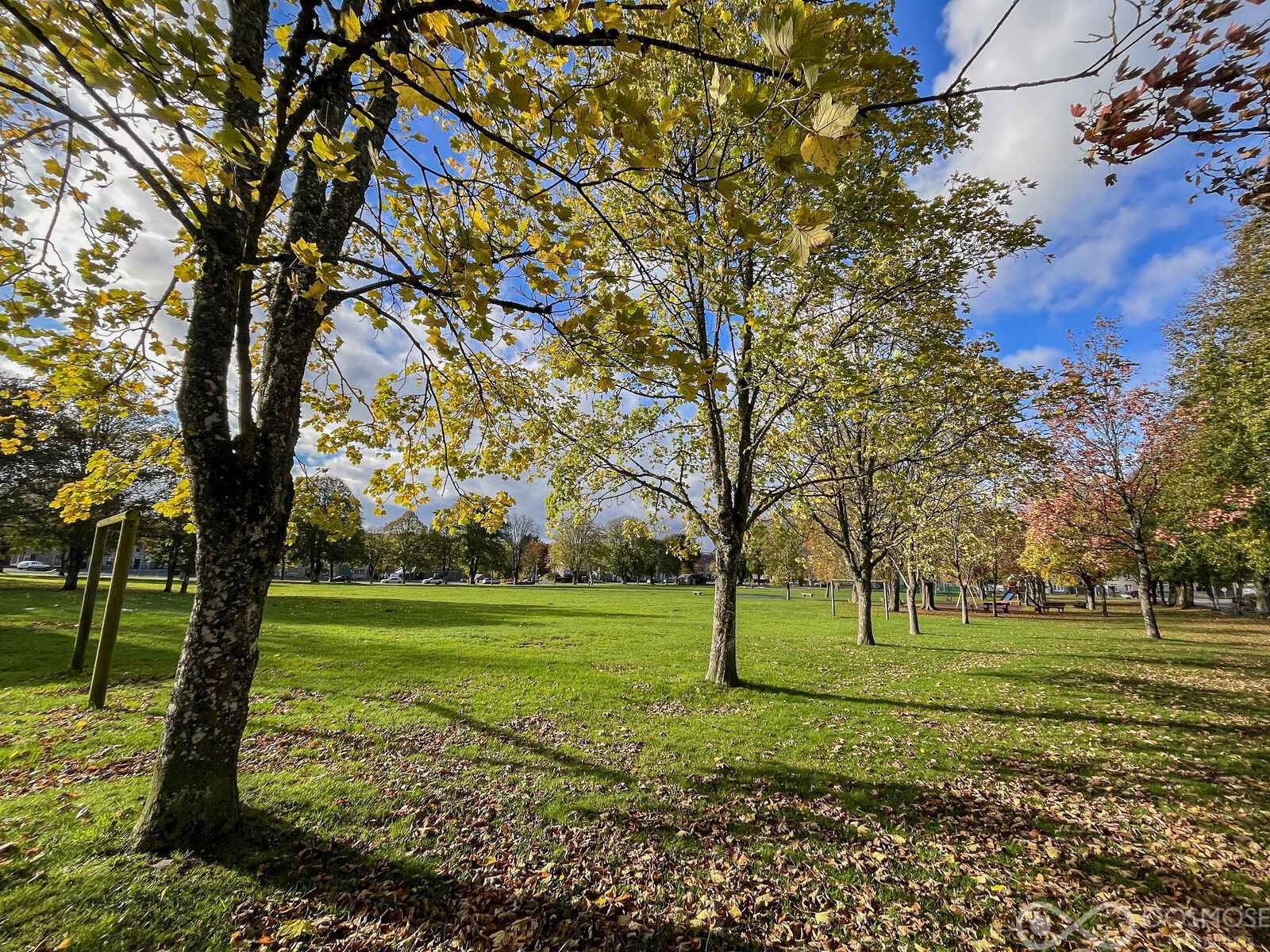 Maison à rénover avec grand jardin - Final-58