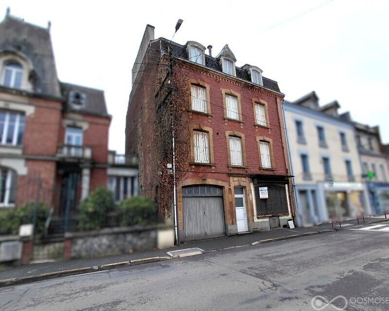 Maison centre ville, 246 m² avec garage et jardin - 1