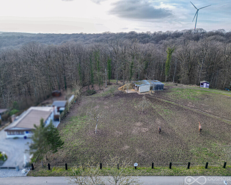 Terrain de 49 ares av grande partie boisée - Final-504