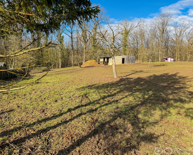 Terrain de 49 ares av grande partie boisée - Final-506