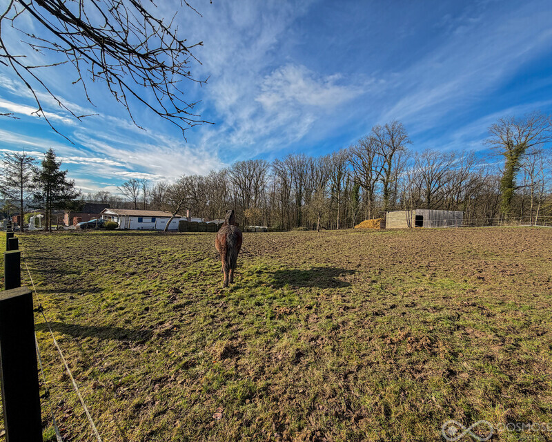 Terrain de 49 ares av grande partie boisée - Final-505