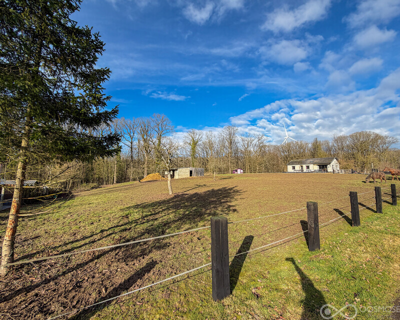 Terrain de 49 ares av grande partie boisée - Final-507
