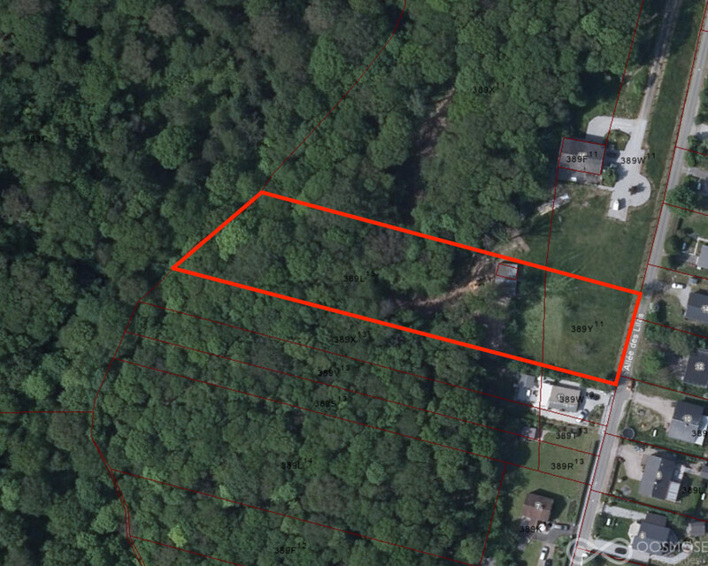 Terrain de 49 ares av grande partie boisée - Lilas15vuesat1