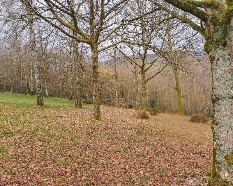 Belle maison individuelle style chalet alpin - Final-476