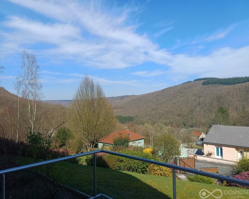 Belle maison individuelle style chalet alpin - 20260319 140616