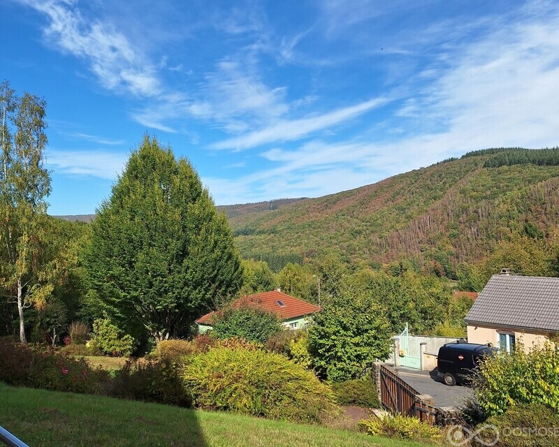 Belle maison individuelle style chalet alpin - 20260923 145726