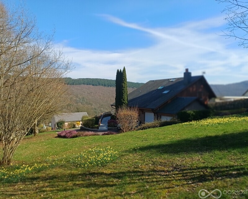 Belle maison individuelle style chalet alpin - 20260319 140258