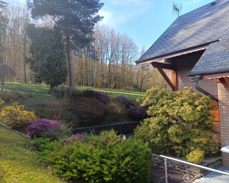 Belle maison individuelle style chalet alpin - 20260319 140517