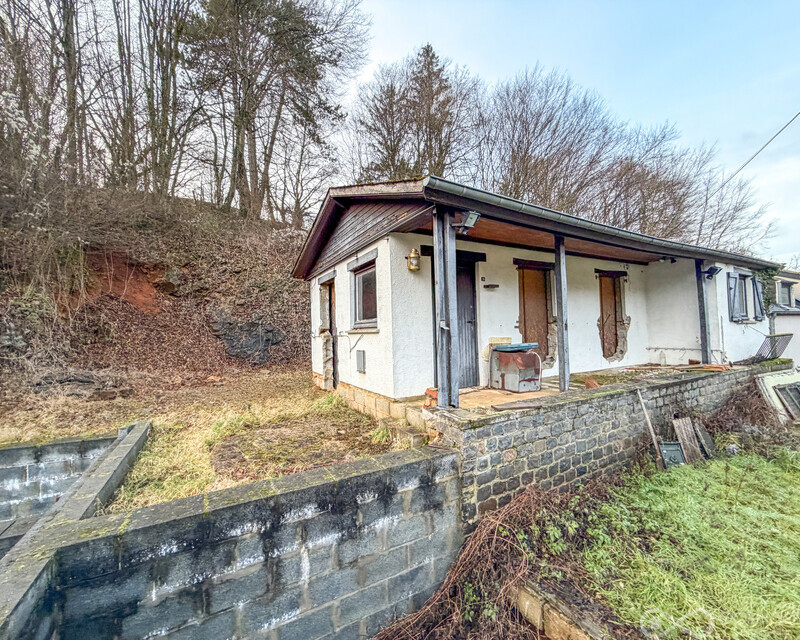 Maison à rénover avec projet sur 17a au pied de la forêt - Img 7275-2